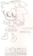 Classic Amy Rose HYRO