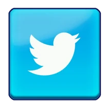 Social Twitter result