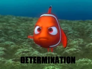 Determination