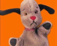 Sweep | Sooty Database Wiki | Fandom powered by Wikia