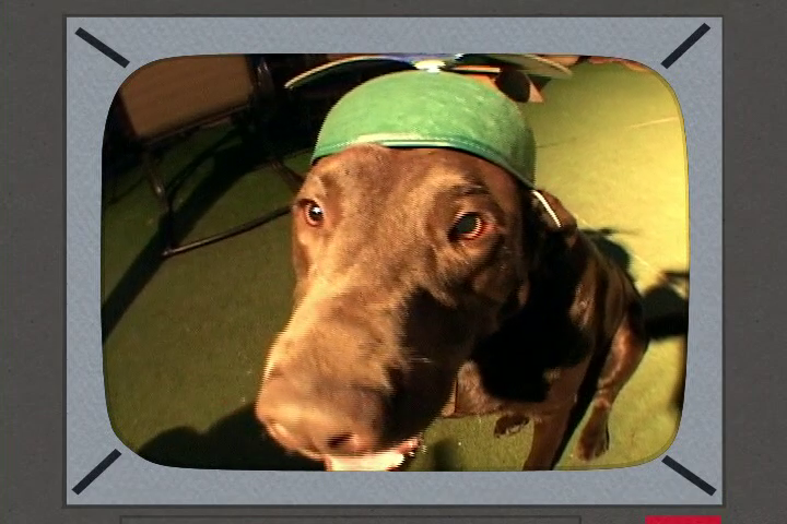 South Park Dogs Wide Angle Lens South Park Dogs Wide Angle Lens