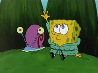 Jellyfish Jam Gallery (52)