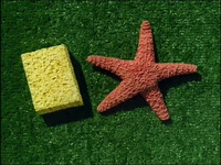 Tea at the Treedome 66