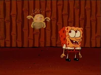 Jellyfish Jam Gallery (14)