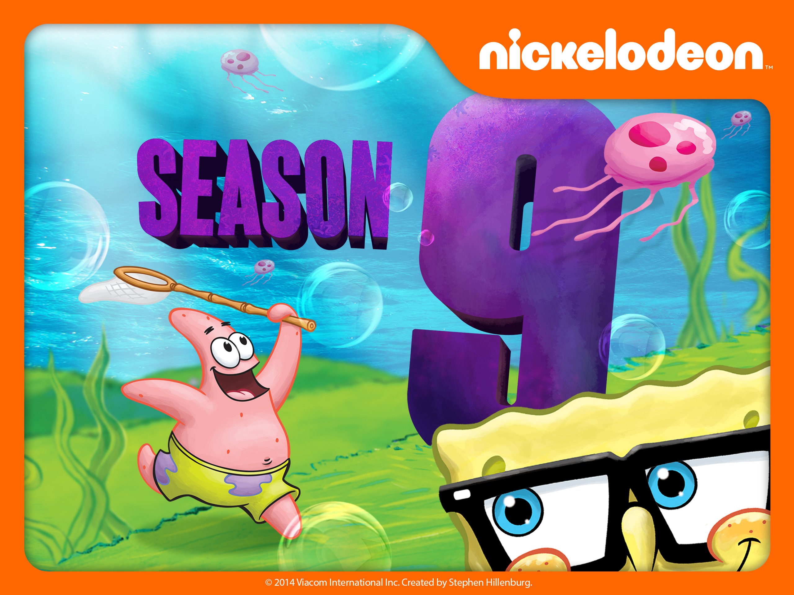spongebob season 9 dvd release