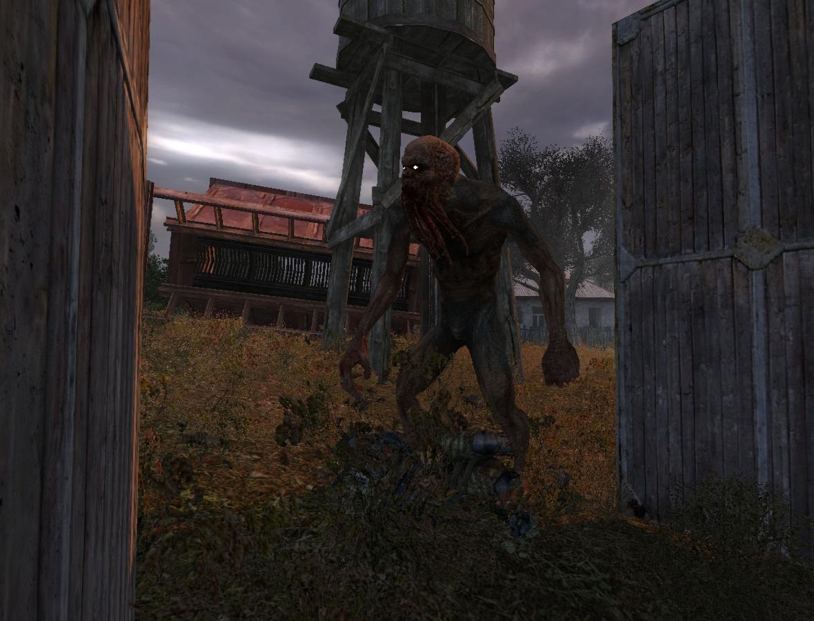 Зачистить деревню S.T.A.L.K.E.R. Wiki Fandom powered by Wikieden