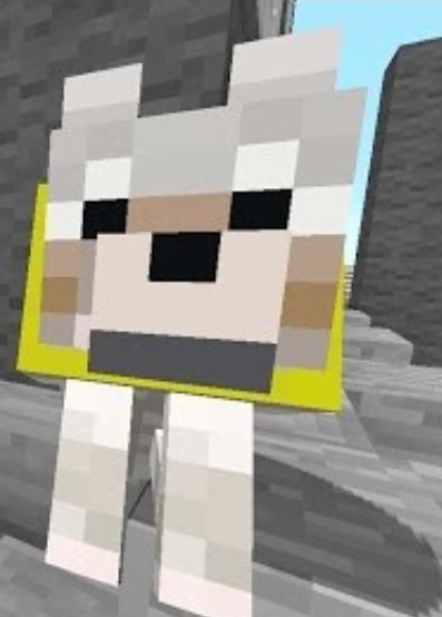 Stampylongnose Dog Names Stampylongnose Dog Names