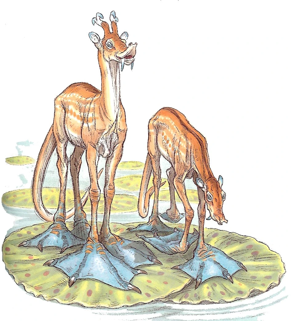 latest?cb=20070116193313