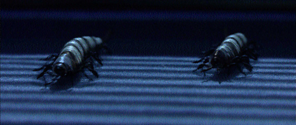 Related image