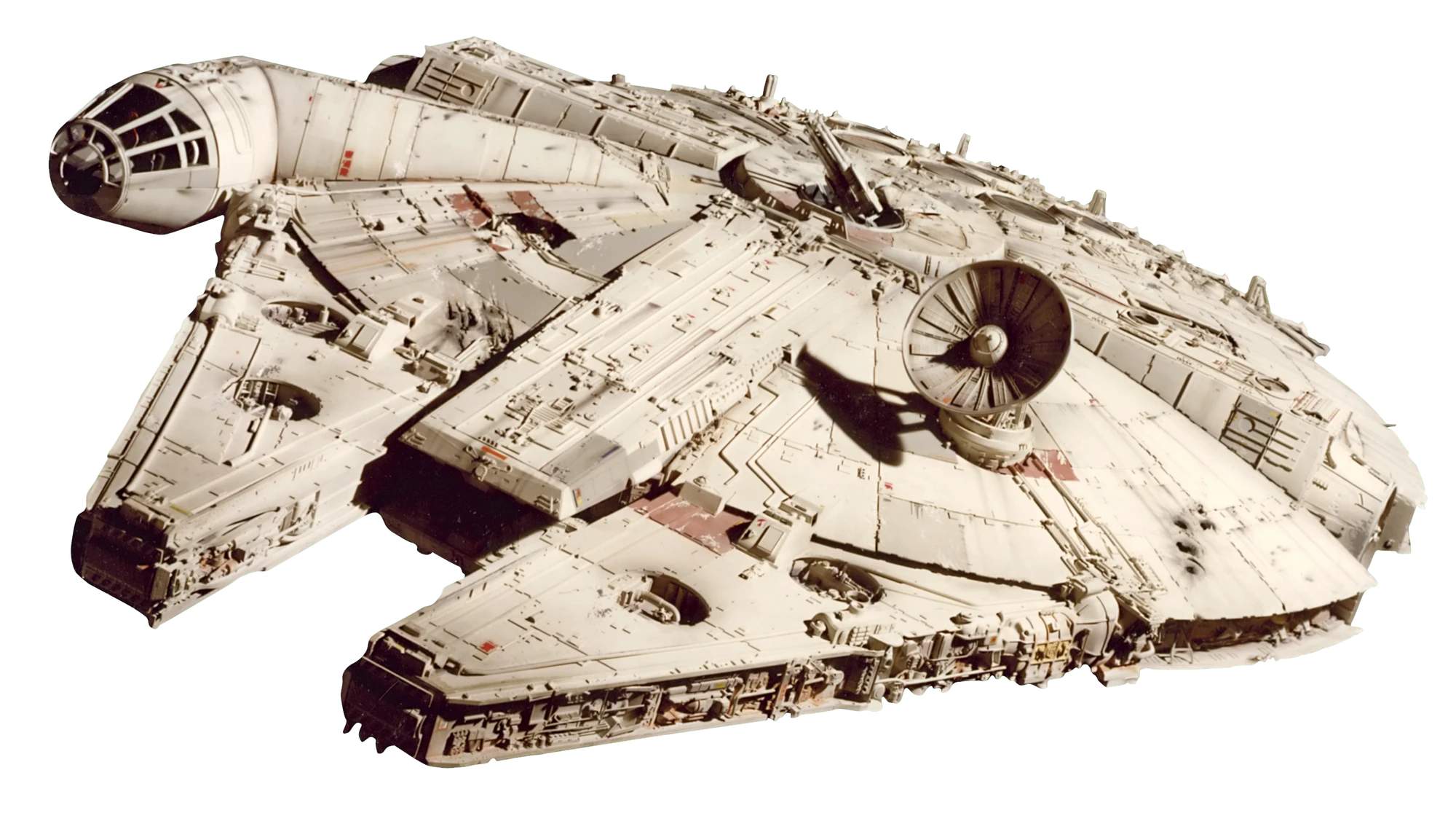 Falcon | Wookieepedia | FANDOM powered by Wikia