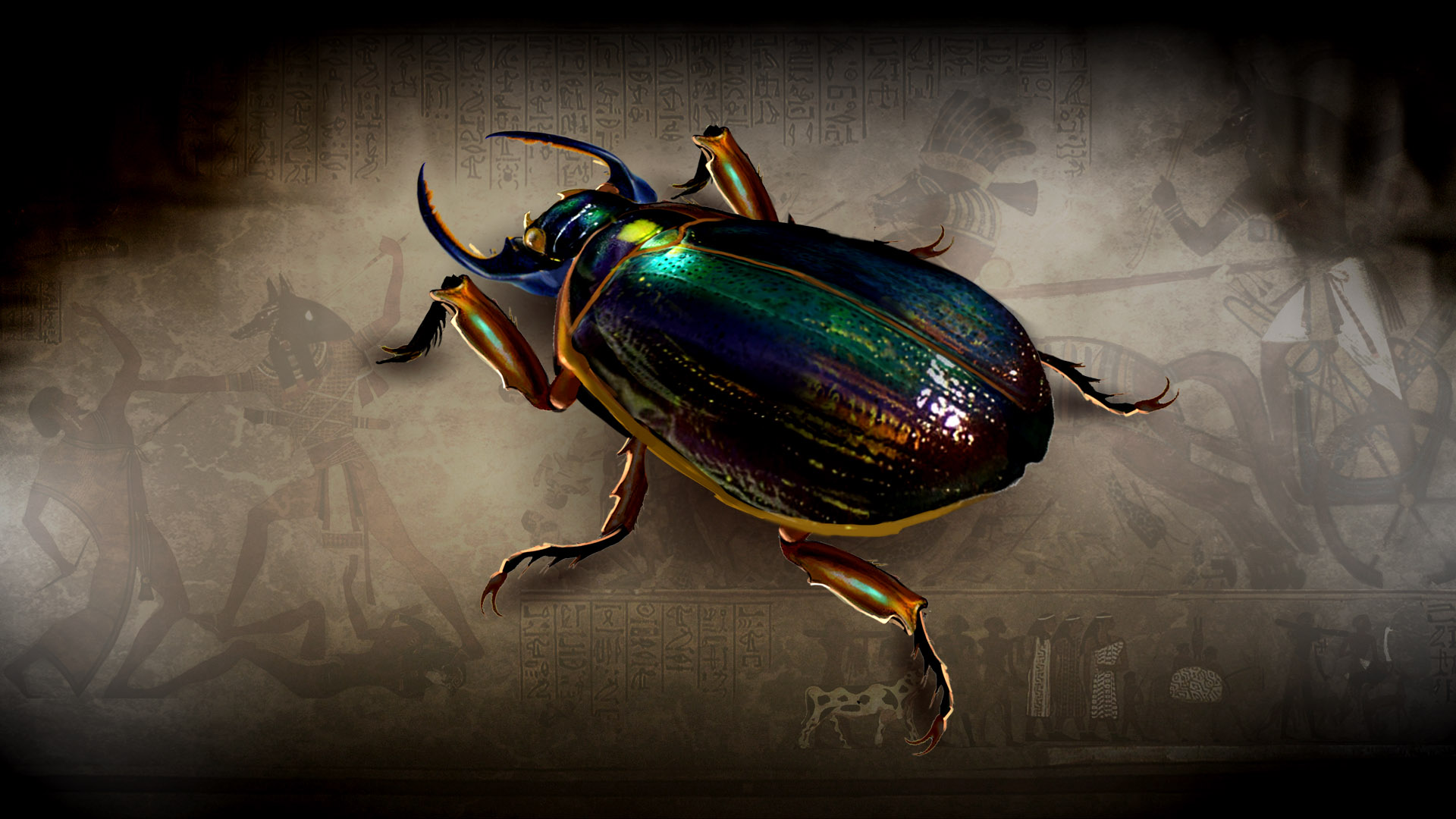 Flesh Eating Beetles