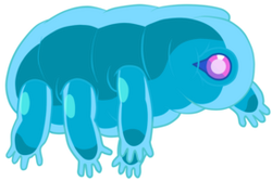 Tardigrade.png