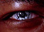 Ocularimplant
