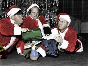 Stooge-curly