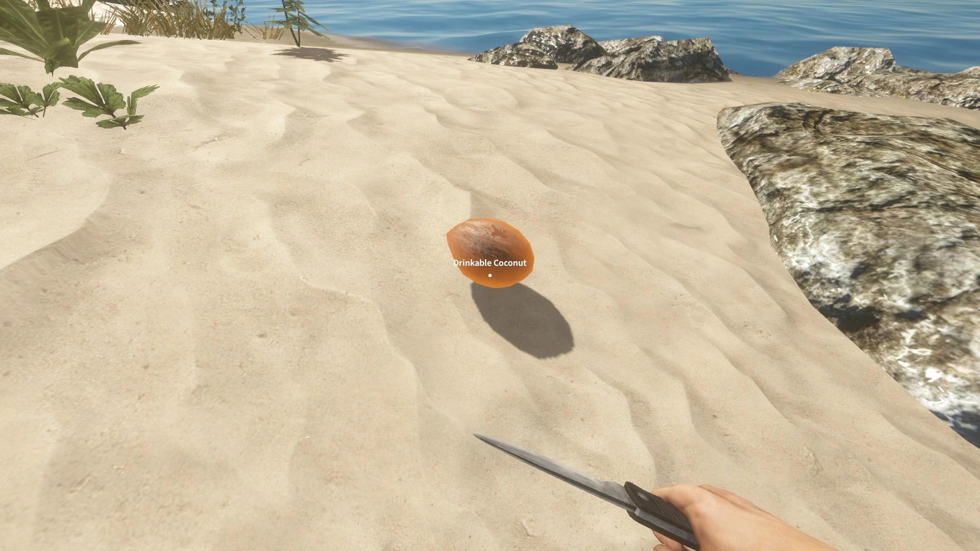 Drinkable coconut Stranded Deep Wiki FANDOM powered by Wikia