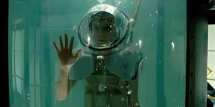 The Flea and the Acrobat | Stranger Things Wiki | Fandom ...