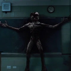 The Upside Down (episode) | Stranger Things Wiki | Fandom ...