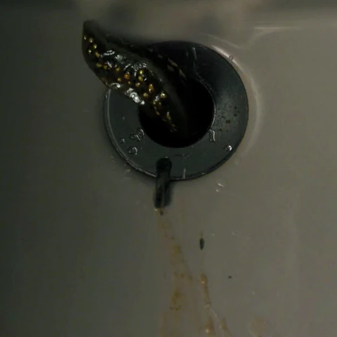 Slug-like creature | Stranger Things Wiki | Fandom powered ...