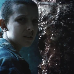 The Upside Down (episode) | Stranger Things Wiki | Fandom ...