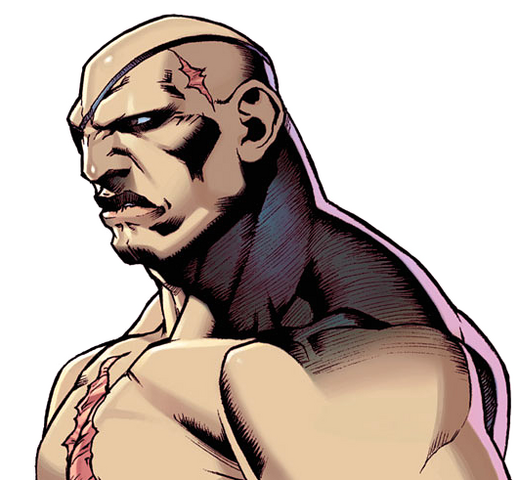 File:Sagat (SSF2TR).png