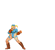 IMAGE(http://vignette3.wikia.nocookie.net/streetfighter/images/1/18/Cammy-cannonspike.gif/revision/latest?cb=20091124035405)