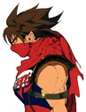 Strider2 hiryu profile