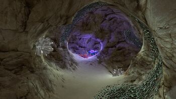 subnautica shallows safe caves wikia