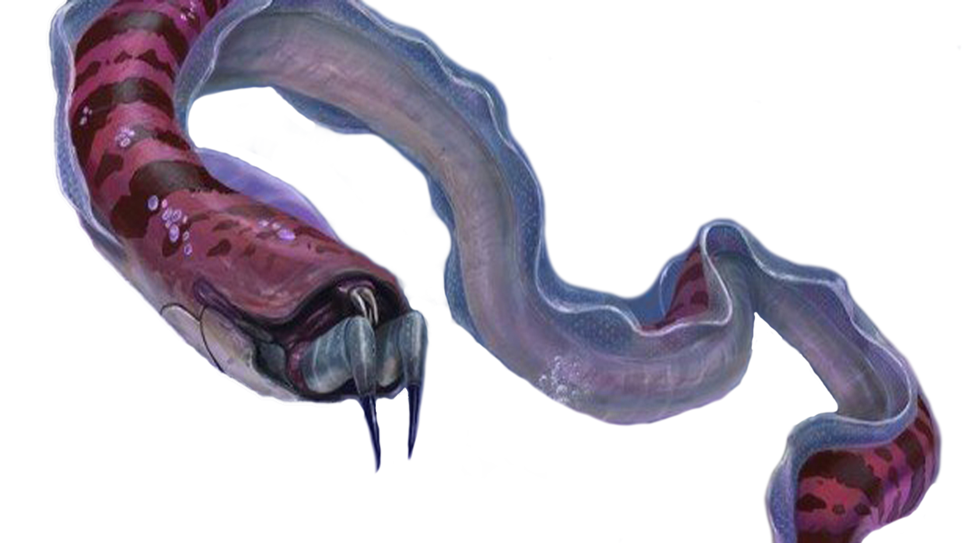 subnautica game wiki subnautica game wiki