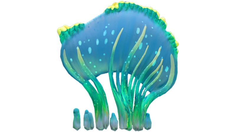 800?cb=20151019202118