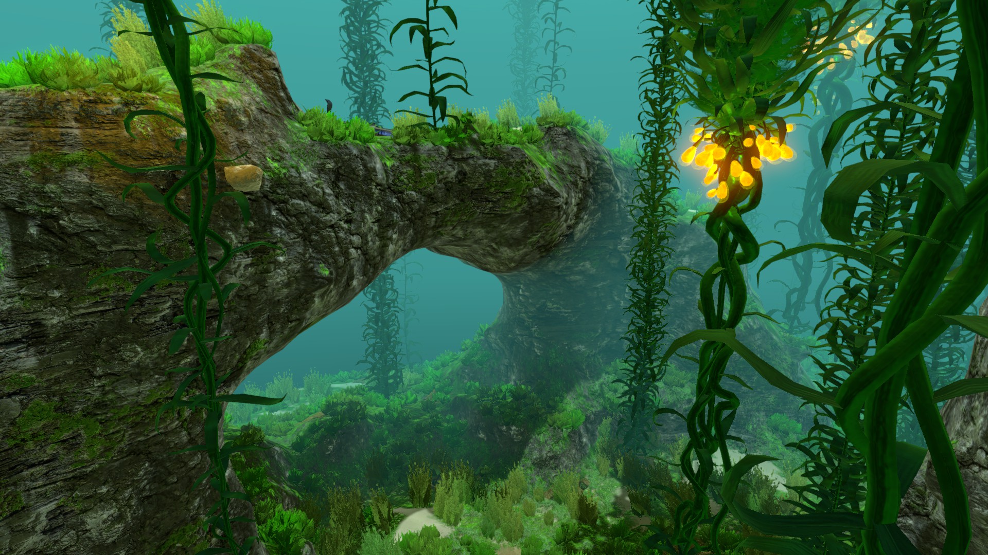Image Kelp Forest (20).jpg Subnautica Wiki Fandom powered by Wikia