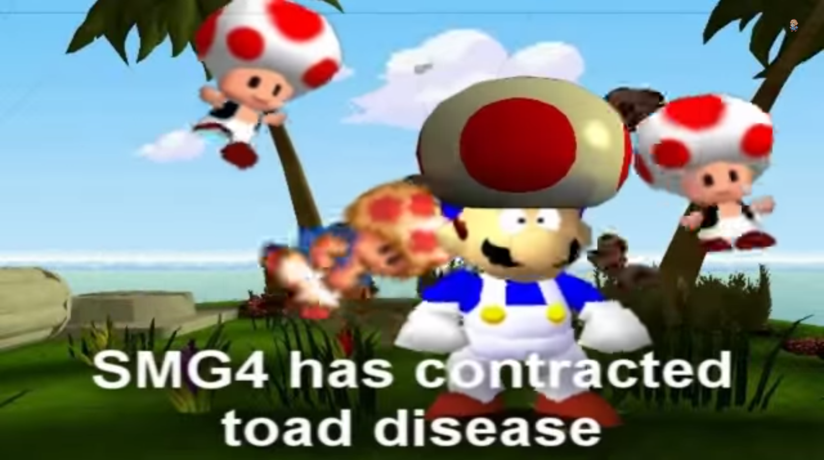 crazy toad mario crazy toad mario