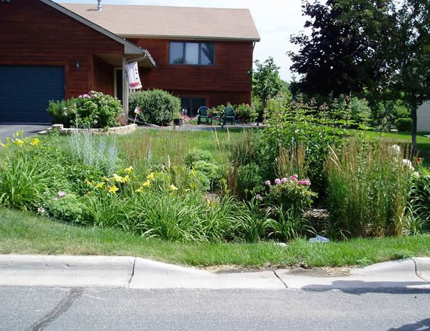 Rain Garden Design 42 brilliant rain garden design ideas Rain Garden Design And Construction Sustainable Water Management Wiki Fandom Powered By Wikia Rain Garden Design cross sectional diagram of how a mini rain garden in a container is built Rain Garden Design And Construction Sustainable Water Management Wiki Fandom Powered By Wikia
