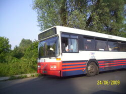 Szczecin w lecie 056.jpg