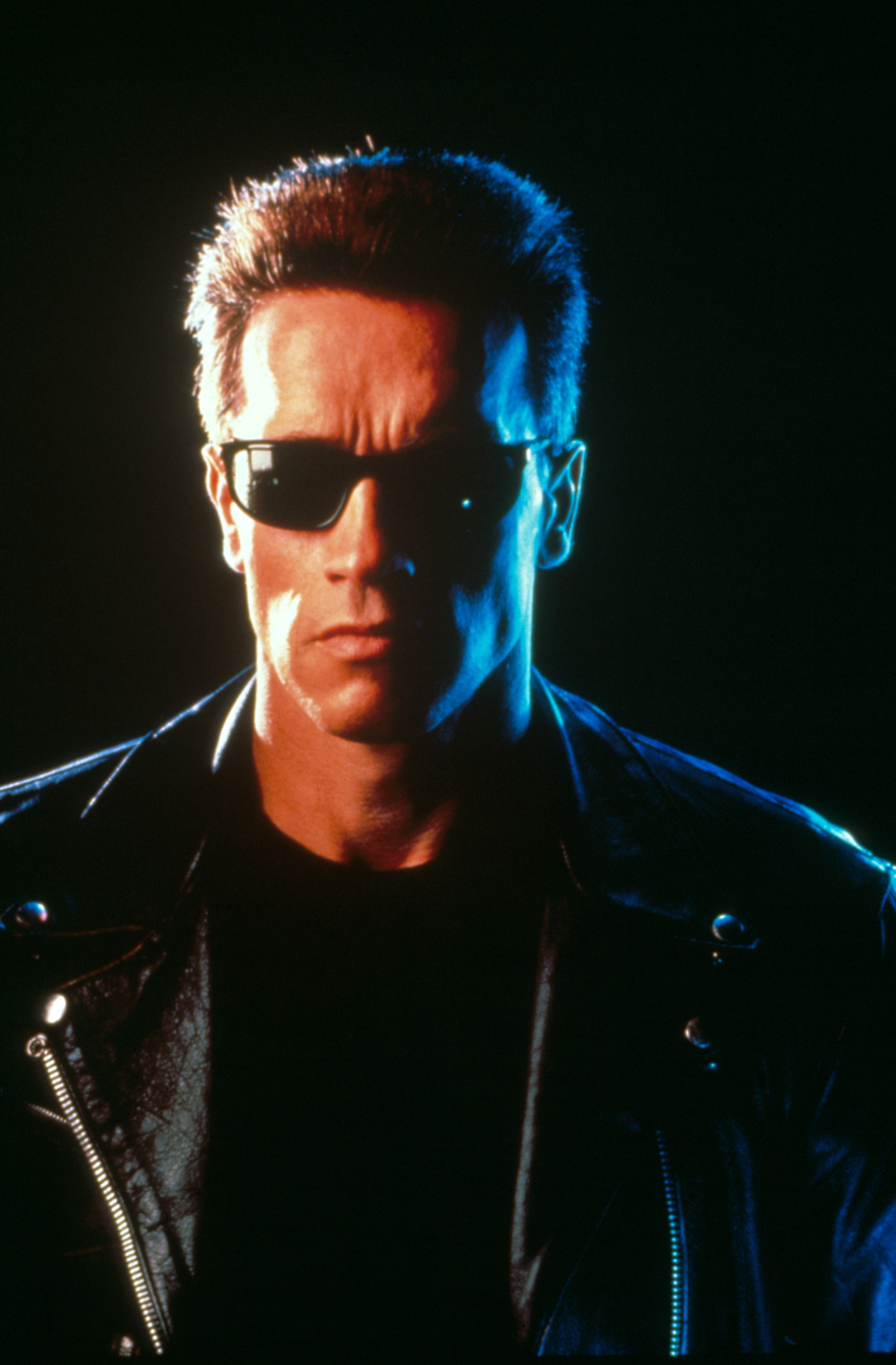 terminator 3 game wikipedia terminator 3 game wikipedia