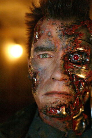 File:Terminator3-09.jpg