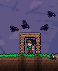T farm