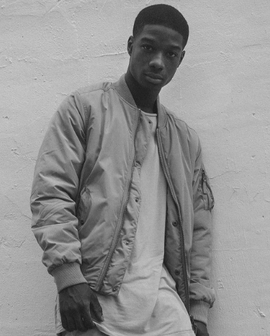 lamar johnson wikia step next biographical information