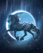 Bella Sara, Thunder's Courage # 6, By Felicity Brown p/B GC illus Bella Sara, Thunder's Courage # 6, By Felicity Brown p/B GC illus