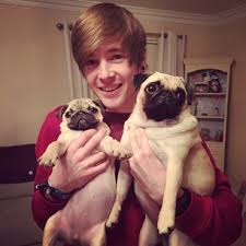 ellie and darcie the pugs newly changed articles thedimondminecart wiki fandom powered by wikia ellie and darcie the pugs newly changed articles thedimondminecart wiki fandom powered by wikia