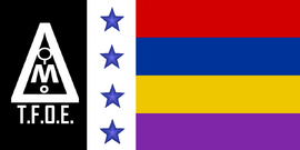 TFOEFlag