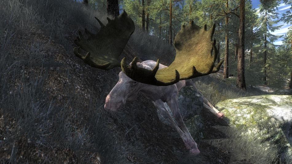 thehunter call of the wild pc crashes on startup thehunter call of the wild pc crashes on startup