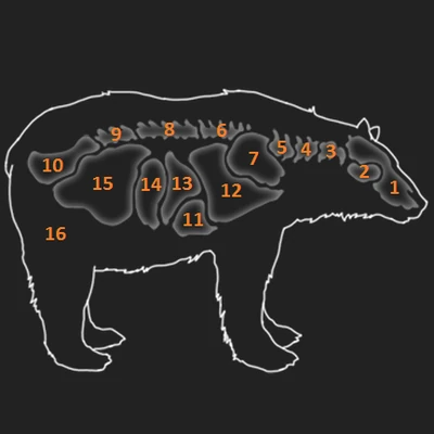 Black Bear | The Hunter Wikia | Fandom powered by Wikia