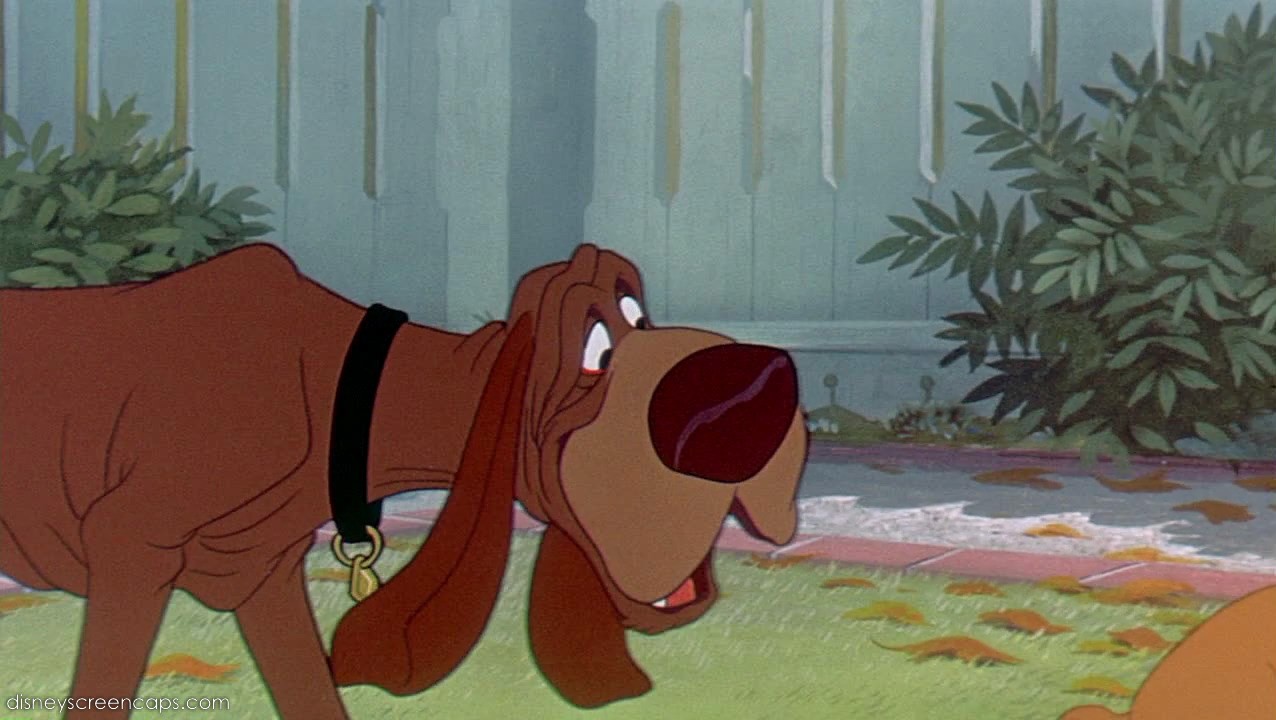Name Of The Bloodhound Dog In Lady And The Tramp Name Of The Bloodhound Dog In Lady And The Tramp