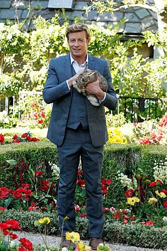 Patrick jane wedding ring