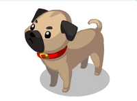 sims 3 pets pug pug the sims social wiki fandom powered by wikia sims 3 pets pug pug the sims social wiki fandom powered by wikia