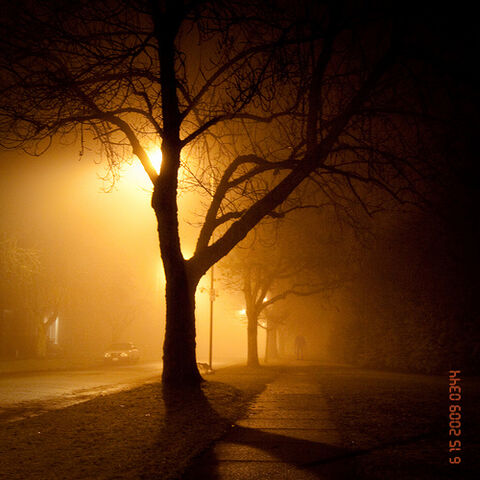 File:Slender Man Sighting 045.jpg