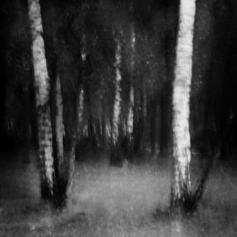 File:Moody-landscape-a26404275.jpg