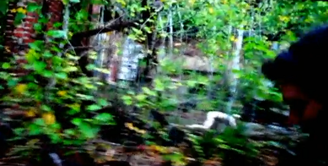 File:Rake.png