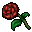 love flower-2748