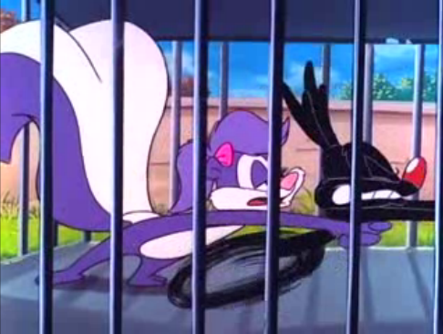 Tiny Toon Adventures S 1 E 41 Dating Acme Acres Style